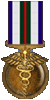 Combat Medical Badge 1st Award: Given for 100 Medic Saves