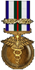 Combat Medical Badge 2nd Award: Given for 500 Medic Saves