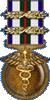 Combat Medical Badge 3rd Award: Given for 1000 Medic Saves