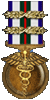 Combat Medical Badge Award